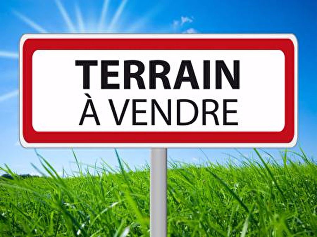 Terrain 